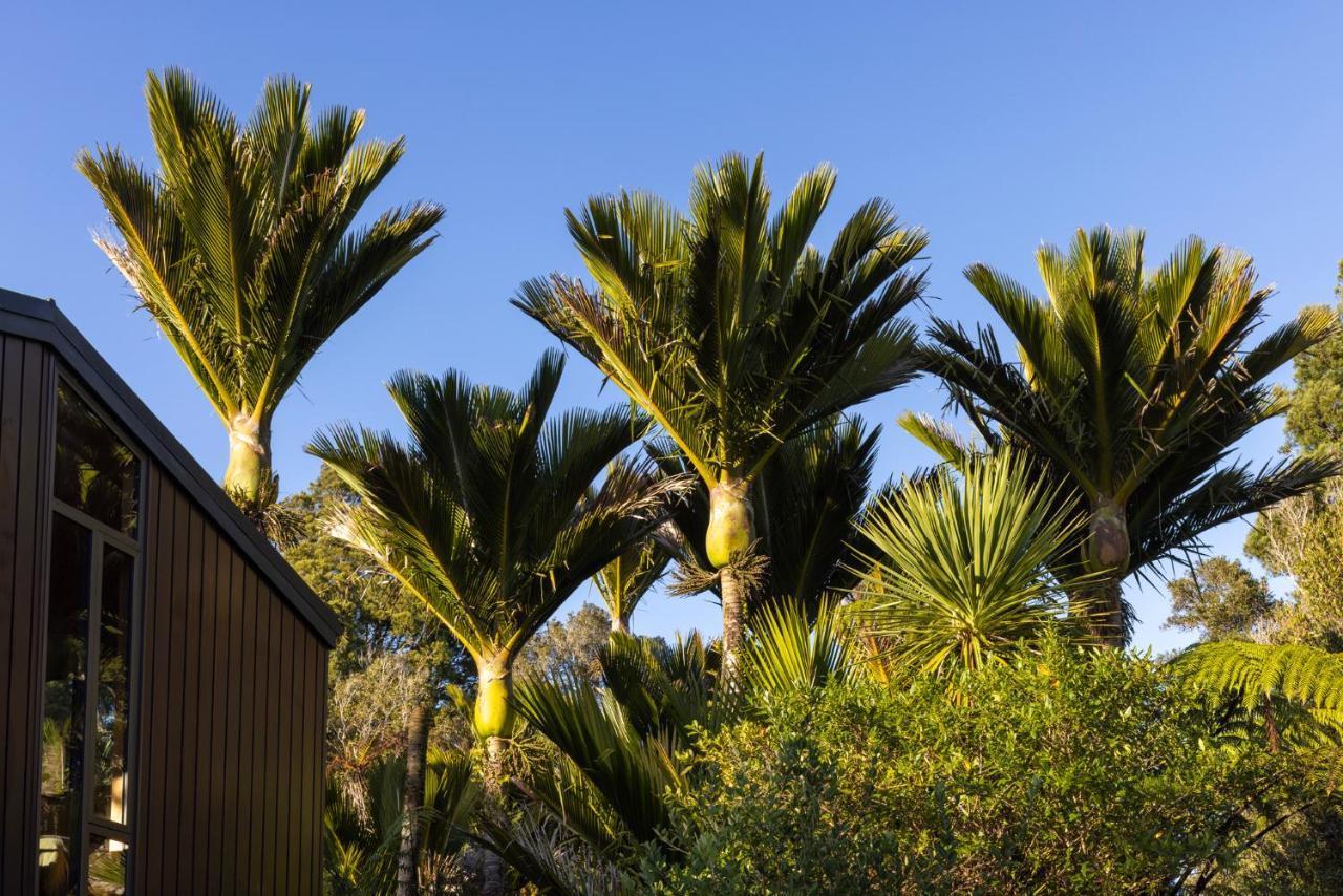 Punakaiki Forest Retreat المظهر الخارجي الصورة