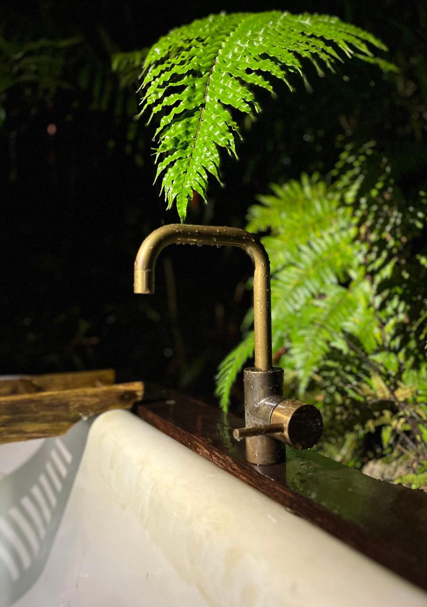 Punakaiki Forest Retreat المظهر الخارجي الصورة